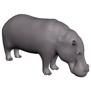 max hippo