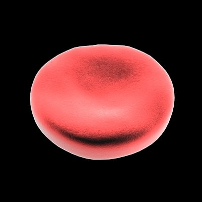 blood cell 3d model