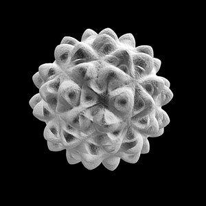 3d model pollen bacteria cell