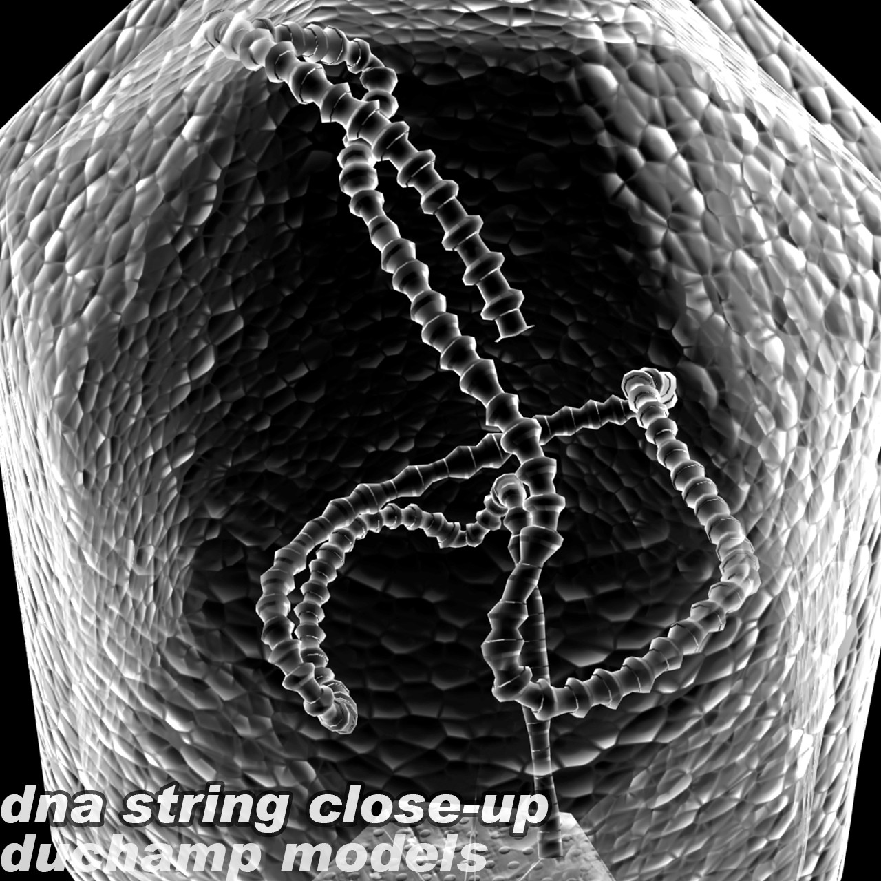 噬菌体病毒3d模型