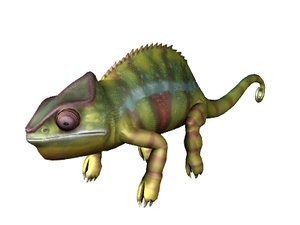 chameleon uv resolution 3d model