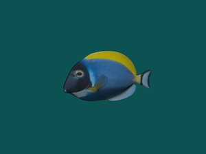fish small 3ds