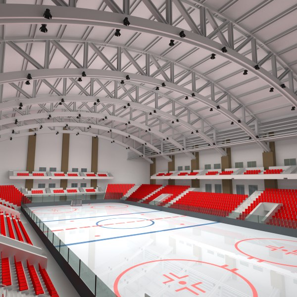 hockey arena rink 3d model