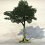 3ds max summer trees
