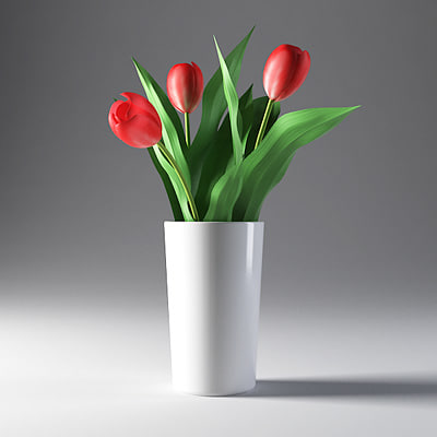 Zich voorstellen verklaren Prediken 3d tulip flower model