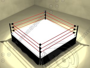 wrestling ring 3d model