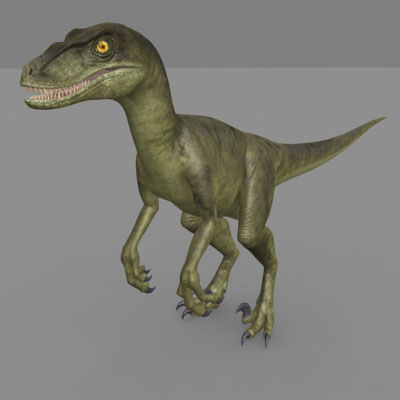 new raptor dinosaur discovery