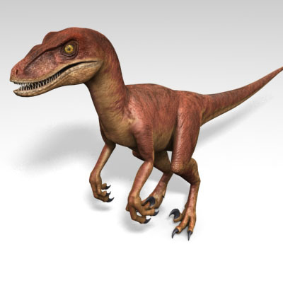 new raptor dinosaur discovery