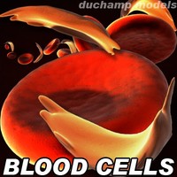 Blood Cells. Classic and Sickle Anemia version