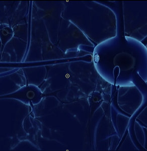 neuron cell 3d lwo