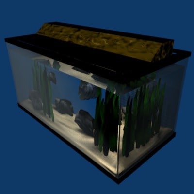 3d aquarium fish aquatic model