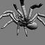 3d spider tarantula arachnid model