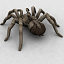 3d spider tarantula arachnid model