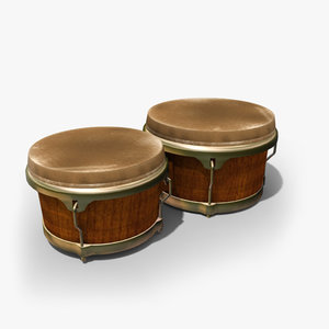 bongo drum max