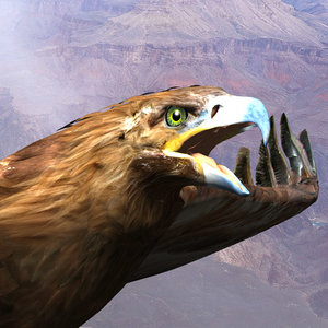 golden eagle 3d model