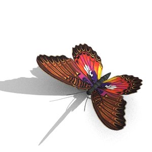butterfly 3d model