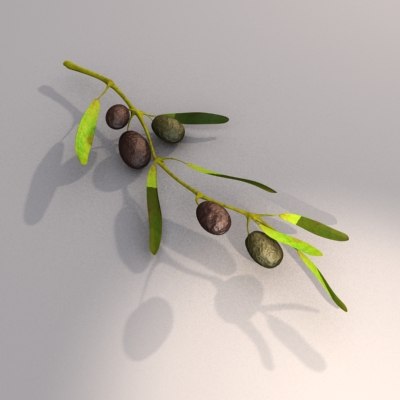 olives branch max