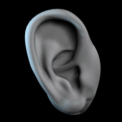 ear 3d max