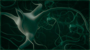 synapses neurons 3d model