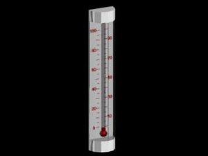 max thermometer
