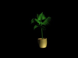 small palm tree max free