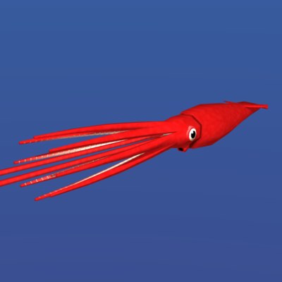 3D Squid Models | TurboSquid