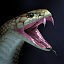 cobra king animation 3d model