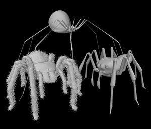 3d model spiders tarachala daddy