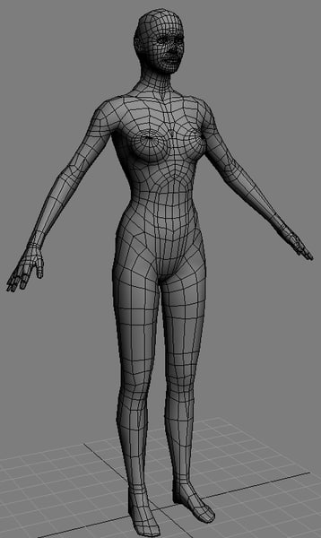 female anatomy 3d model