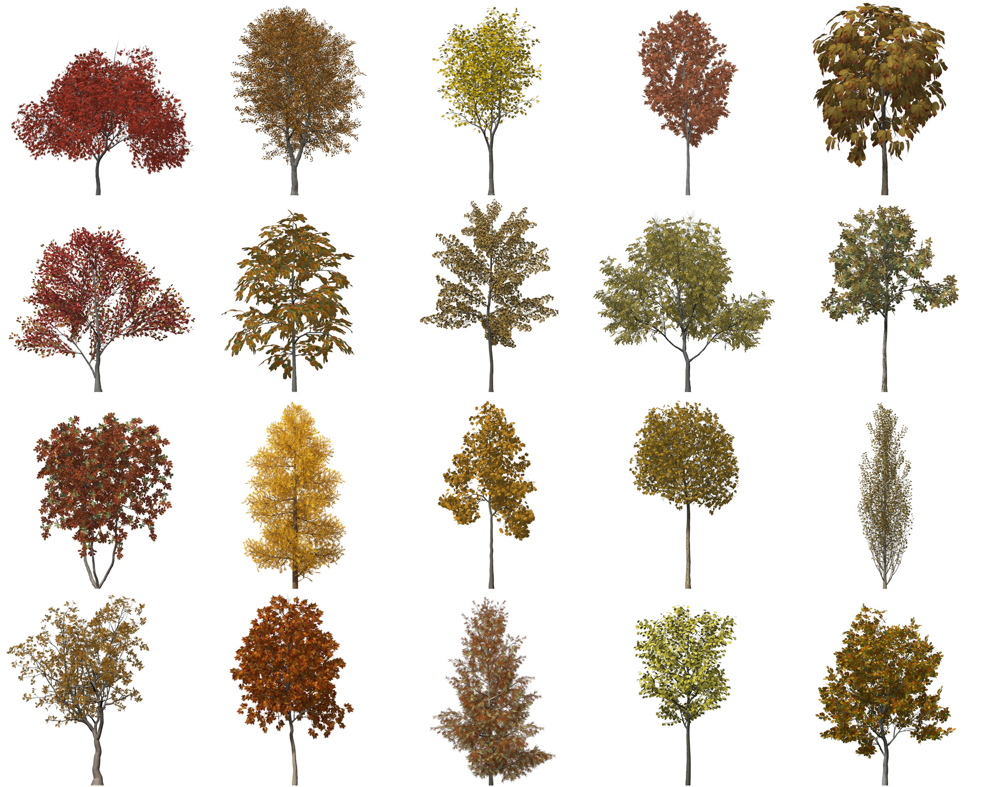 autumn trees xfrogplants 3d model