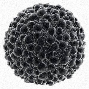 3d model pollen electron microscope