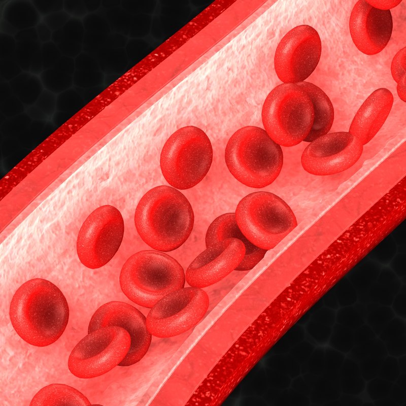 maya blood vessel