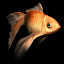 free max mode goldfish gold fish