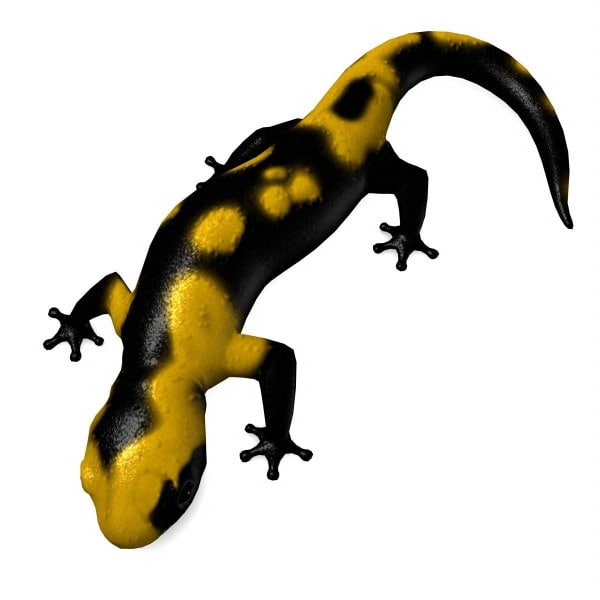 Защелка salamander 2d 3d md13