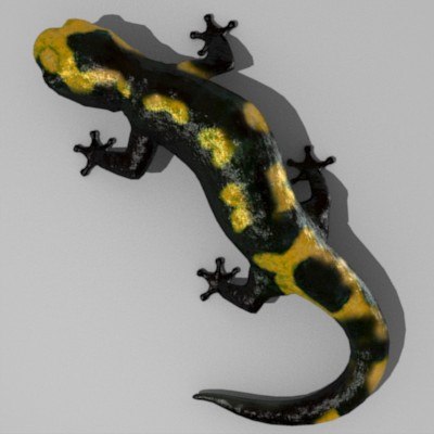 Защелка salamander 2d 3d md13