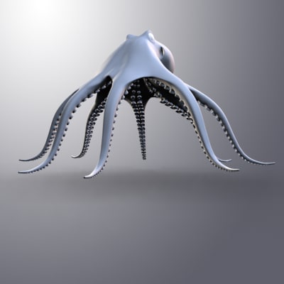 octopus 3d model