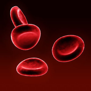 blood cells red 3d model