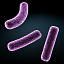 3d bacteria 3d paint download 3d bacteria 3d paint download
