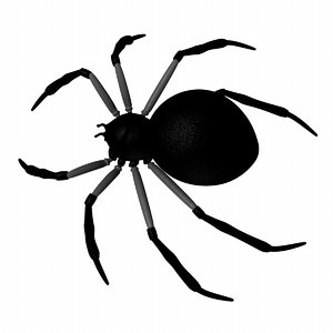 3d spider arachnid