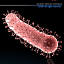 3d microscope cells bacteria virus model