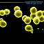 3d microscope cells bacteria virus model