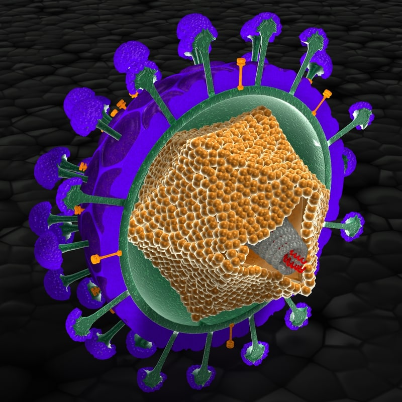 3d model virus structure