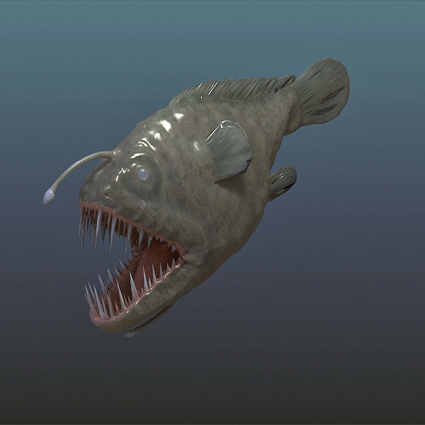 3d angler fish model