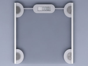 3ds max digital scale