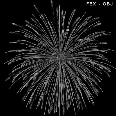 fireworks 3d model