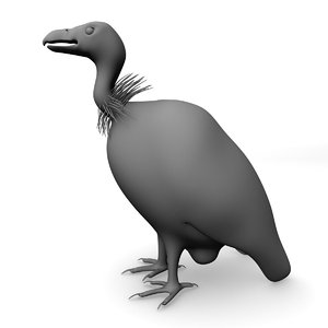 aasvogel vulture bird 3d model