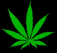 Free Marijuana Leaf 3d Model