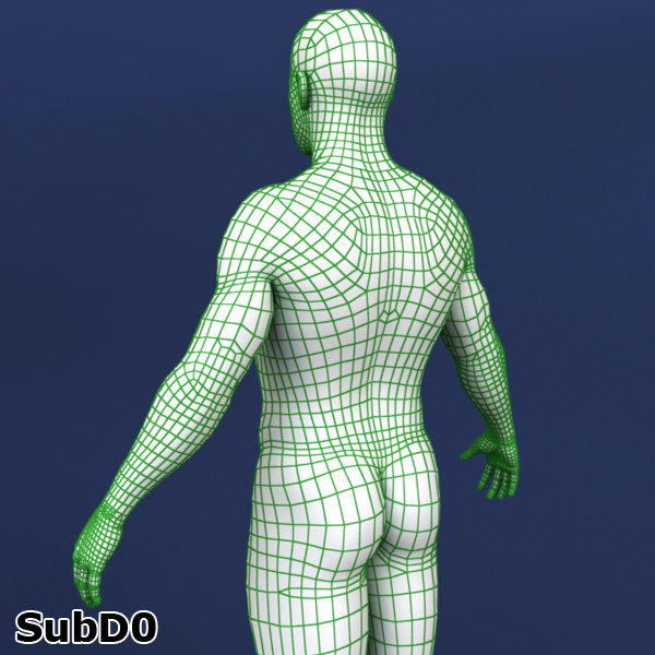 polygonal male body character 3d model