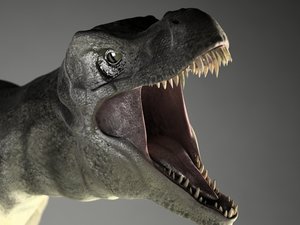 realistic tyrannosaurus 3d model