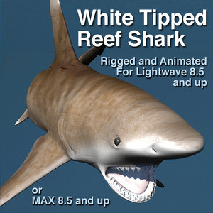 lightwave white tip shark rigged